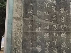 -赵州桥景区