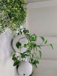 点击看大图 -起点潮色造型