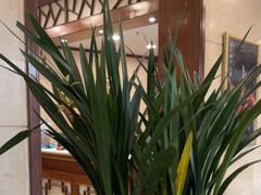 -顺峰·粤菜海鲜·早茶自助(阜成店)