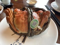 -龙悦湾酒家·八阵鱼生·渔人码头店