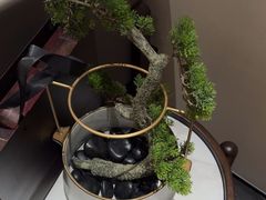 -高佳庄·海鲜酒楼(定海店)