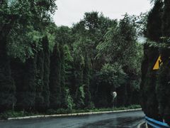 -青龙山生态文化旅游区