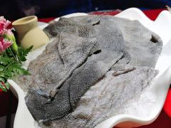 -二荆条·蜀鲜汇城市森林火锅