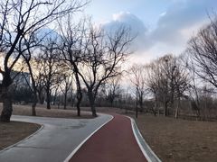 -朝阳公园