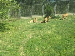 -西安秦岭野生动物园