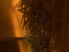-宁采臣Sleep·采耳·SPA放松馆(湖里万达店)