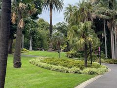 -墨尔本皇家植物园