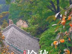 -潭柘寺景区