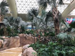 -杭州开元森泊度假乐园