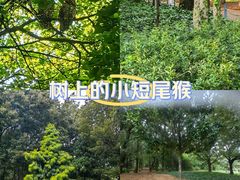 -昆明植物园
