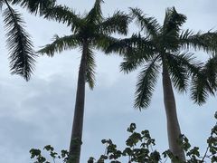 -三亚太阳湾柏悦酒店