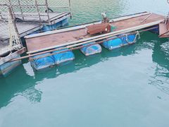 -广州市流溪河国家森林公园