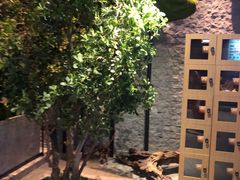 -青水瓦台汤泉(未央店)