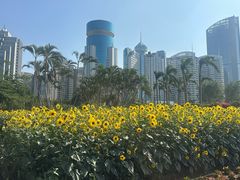 -万绿园