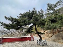 -天津盘山风景名胜区