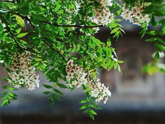 -北京石刻艺术博物馆(五塔寺)