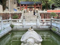 -水濂山森林公园