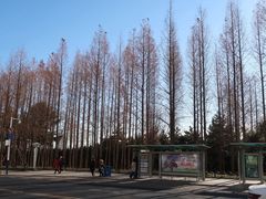 -五四广场