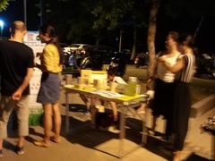 -泰州凤城河风景区-泰山公园