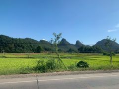 -钟山水墨田园