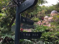 -深圳东部华侨城茵特拉根酒店
