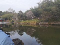 -水绘园