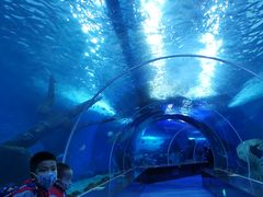 -多彩贵州城极地海洋世界