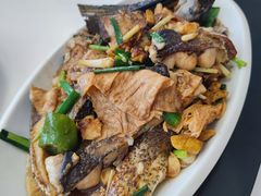 豆皮烧鱼-广兴酒家