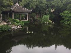 -叶家花园