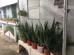 -大澳