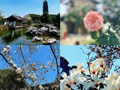 -尚湖风景区