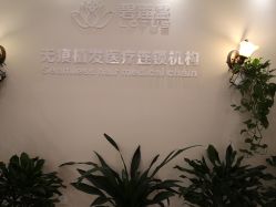 -碧莲盛·不剃发植发