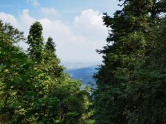 -冶父山国家森林公园