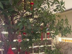 -静耳元気采耳·按摩·SPA(万象前海店)