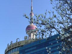 -东方明珠广播电视塔