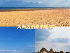 -日照海滨国家森林公园