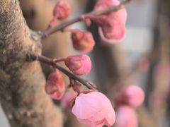 -七桥瓮公园