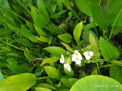 -白塘生态植物园