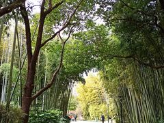 -苏州河梦清园环保主题公园