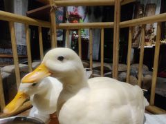 -馬蘭花開(车站大道店)