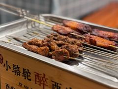 -福苗小骆驼烧烤(莲湖路店)