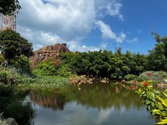 -芽庄珍珠岛游乐园