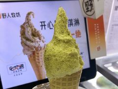 -野人先生现做冰淇淋(北京环宇荟店)