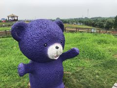 -大塘金香草谷