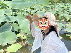 -中国翰园碑林