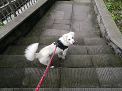 -新都巷步道