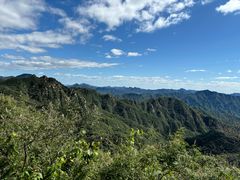-大岭沟猕猴桃谷风景区