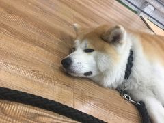 -YCHL Studios健身工作室(市二宫店)