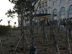 -青岛海泉湾皇冠假日度假酒店