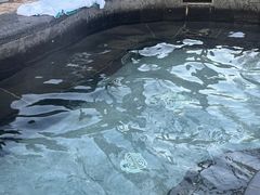 -白桦林温泉谷